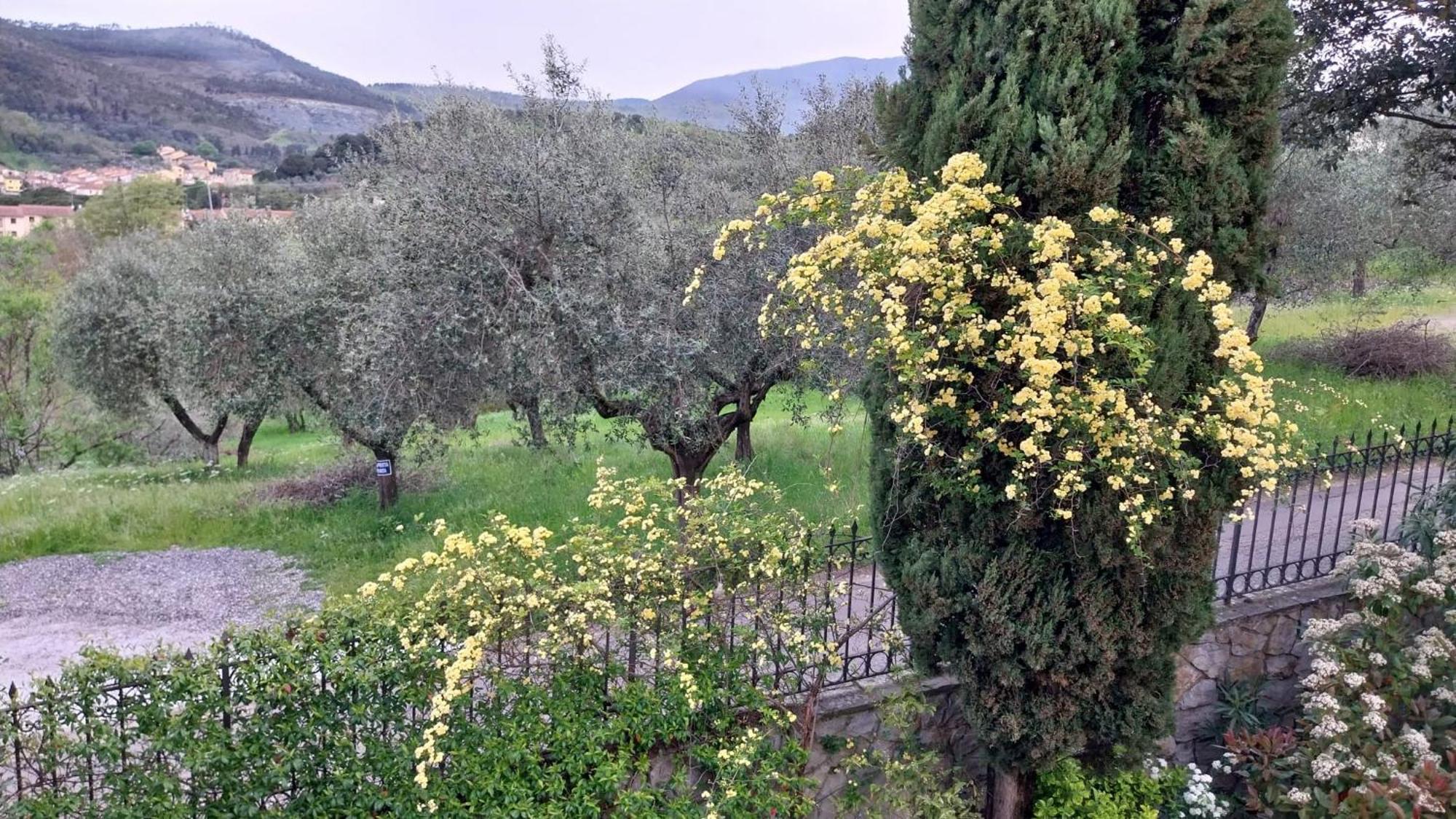Villa Salviati Prato  Exteriör bild